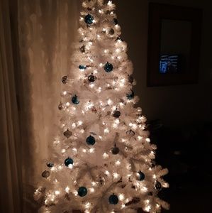 Meet your Posher, Elisha